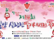 제14회 밀양 삼랑진 딸기시배지 축제 개최