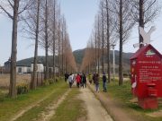 충남도, ‘토닥토닥’ 내포문화숲길서 몸·마음 쉰다