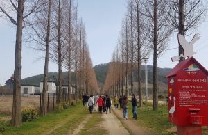 충남도, ‘토닥토닥’ 내포문화숲길서 몸·마음 쉰다
