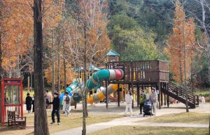 담양군, 어린이프로방스 노후 시설 개선한다