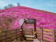 밀양시 작은성장동력사업, 새로운 관광자원으로 부상