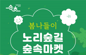 속초시, 2024 영랑호 벚꽃축제 개최