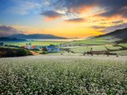장흥 선학동마을, 유엔관광청 ‘최우수 관광마을’ 후보 선정