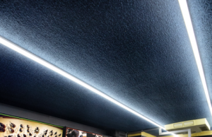 국립심포니오케스트라, 클래식 음악 산업 비즈니스 전문 인력 육성