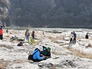 정선군, 동강할미꽃 축제 성황리 종료