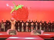 충남도, 논산딸기 세계화 지원한다