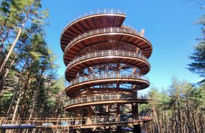 관광공사, 3월 여행가는 달 추천 숨은 관광지 추천