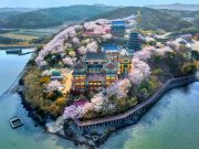 충남에서 가족과 함께 봄꽃 여행하세요