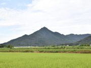 담양군, 제1회 수북면민의 날 기념 ‘몽성산 피라미드 축제’ 개최