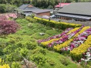 담양군, ‘제5회 예쁜 정원 콘테스트’ 개최