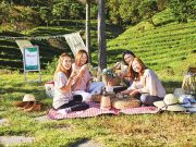 제47회 보성다향대축제 다양한 프로그램으로 관광객 맞이