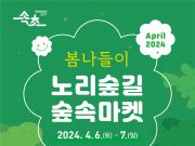 속초시립박물관, ‘노리숲길 숲속마켓’ 개최