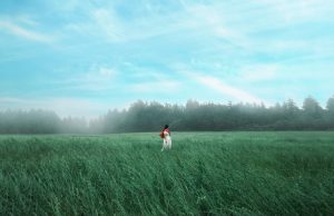 2024년 제주 웰니스 관광지 모집 공고 시행