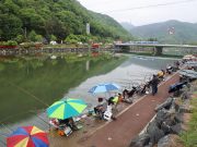 의령 홍의장군 전국민물낚시대회 성공리 개최