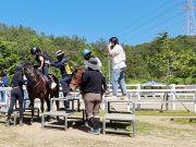 함안군승마공원, 어린이날 무료 승마 체험 진행