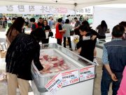 태안 한우 축제 6월 1일 개막