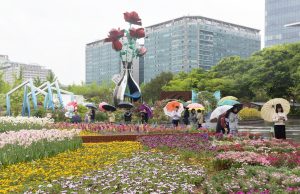 봄비 속의 ‘2024고양국제꽃박람회’ 풍경