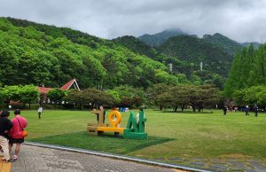 구미시, 금오산 잔디광장 개방 후 시민 발길 늘어