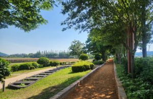무안군 무안회산백련지, 500m 황토 맨발길 개장