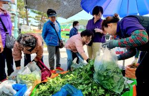 봄의 울림, 영양 산나물 어울림.