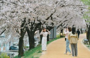 ‘영주 여행영상 공모전’ 인기리 진행