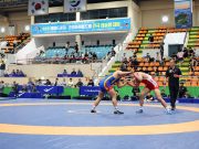 장흥군, 전국레슬링대회 개최로 ‘스포츠 마케팅’ 성과