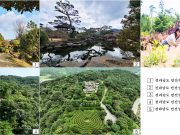 푸르른 자연을 품은 보성의 민간 정원 5곳 추천