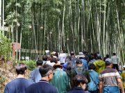 제23회 담양대나무축제 성료