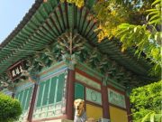 관광공사,‘반려견과 함께하는 댕플스테이’이색상품 개시