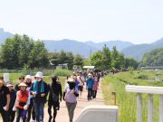 제6회 군북 3·20독립운동 기념 건강걷기 대회 개최