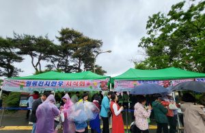 일석이조 함평나비대축제, 나비보고 대표먹거리 맛보자