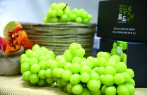 함평군, ‘방콕국제식품박람회’ 참가로 해외시장 개척 도모