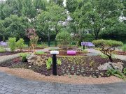 대구 신천, 사계절 사색(四色) 정원 조성 완료