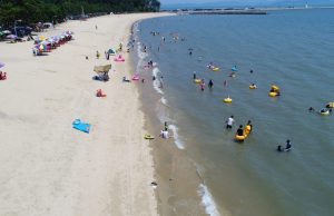 보성군, 율포솔밭해수욕장 7월 6일 개장