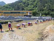 울릉군, 벼농사 모내기로 전통농경문화 체험 행사 개최