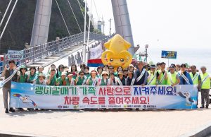 울릉군, 괭이갈매기 찻길사고 예방 캠페인 실시