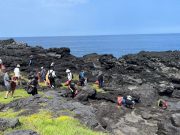 건강한 제주만들기 ‘줍젠’ 6월편 마라도에서 개최
