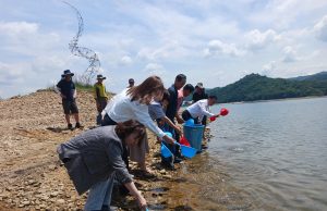 청주시, 대청호에 뱀장어 치어 방류