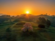 함안군, ‘제3회 함안 말이산고분군 사진공모전’ 시상