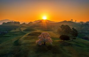 함안군, ‘제3회 함안 말이산고분군 사진공모전’ 시상