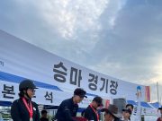 홍성군, 충남도민체육대회 승마경기 종합 1위 달성