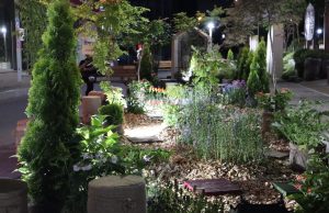 홍천군,눈부신 밤의 정원 신장대리의 새로운 얼굴