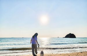 태안군, 8월 ‘댕댕버스’ 상품 출시