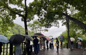 구미시, 숲속 힐링으로 난임부부에게 새로운 희망을 전하다