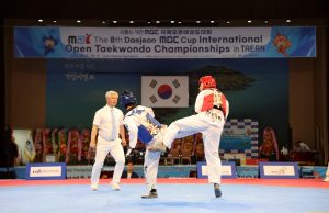 ‘대전MBC배 태안 국제오픈 태권도 대회’ 개최