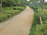 무안군,‘대죽도 근린공원 어싱길’1.1km 조성