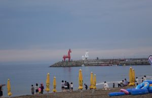 제주서 즐길 수 있는 특별한 친환경 해변 여행 추천