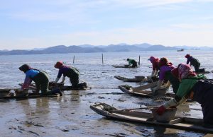 보성군, ‘2024. 국가중요농어업유산축제’ 개막