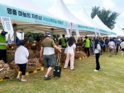 서산시, 제15회 서산6쪽마늘축제 성황리 종료