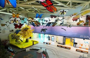 경북 유교랜드 여름방학 맞이 선물 증정 이벤트 실시